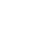 Visa Inc. company logo