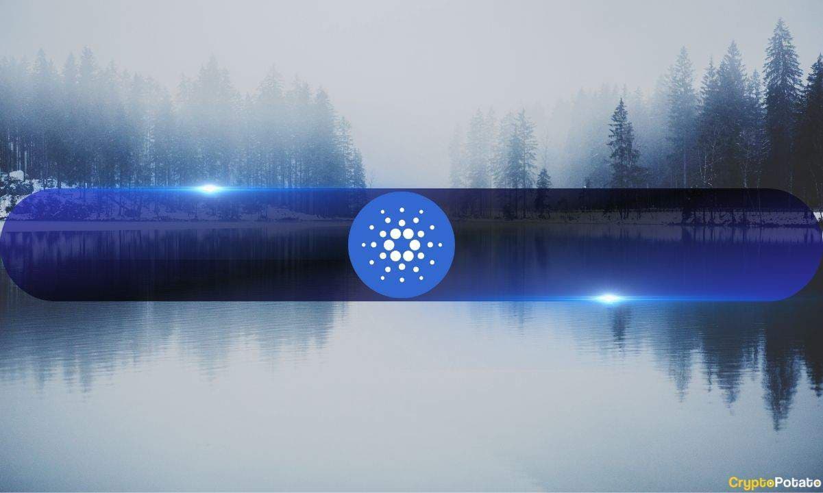 Image for article: Cardano Just Delivered Two Bullish Signals at TOKEN2049 as ADA Rebounds